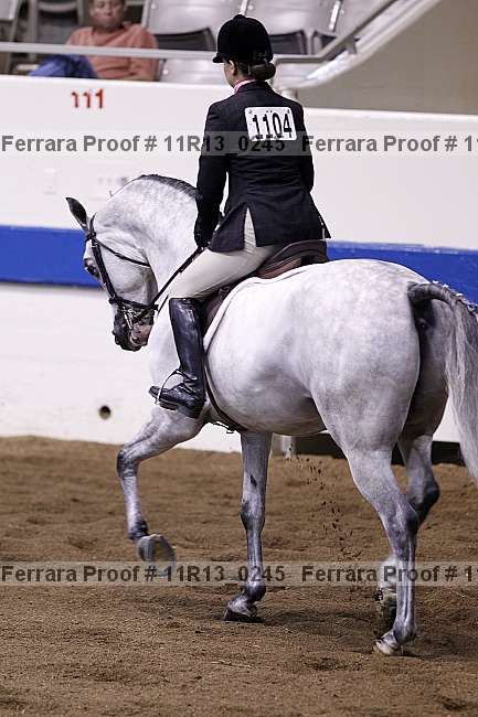 Proof Number 11r13_0245