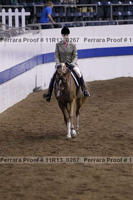 Proof Number 11r13_0267