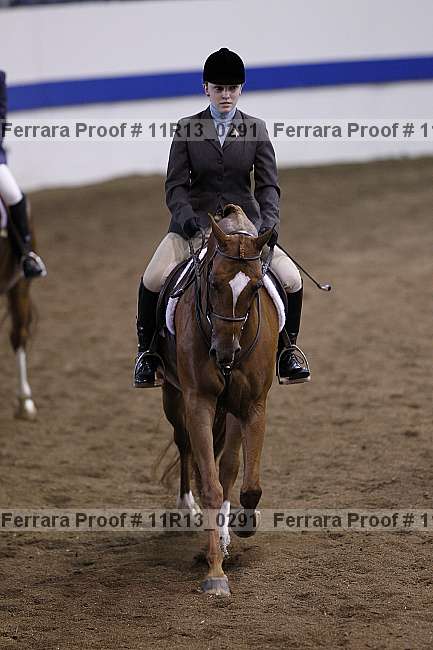 Proof Number 11r13_0291