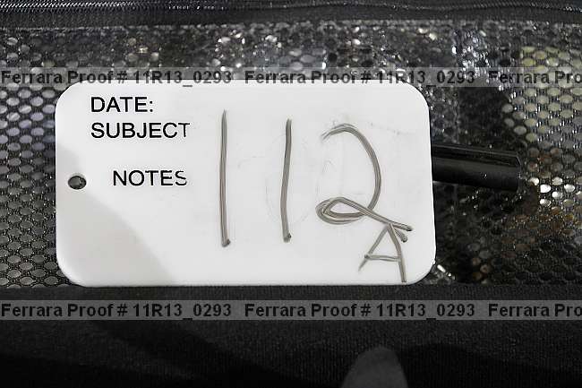 Proof Number 11r13_0293
