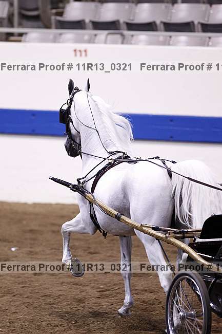 Proof Number 11r13_0321