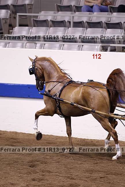 Proof Number 11r13_0327