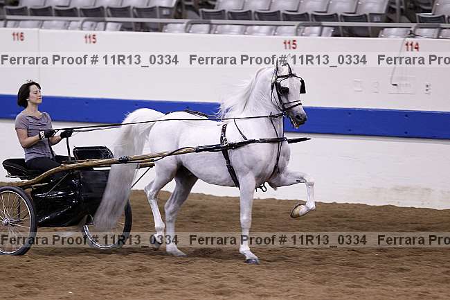 Proof Number 11r13_0334