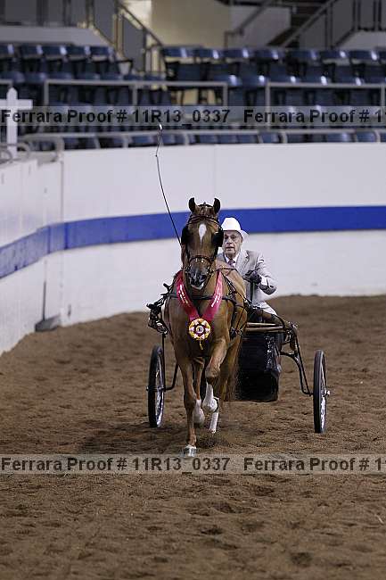 Proof Number 11r13_0337