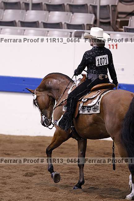 Proof Number 11r13_0464