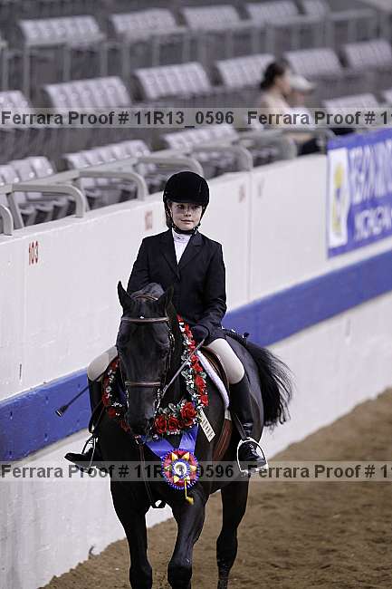 Proof Number 11r13_0596