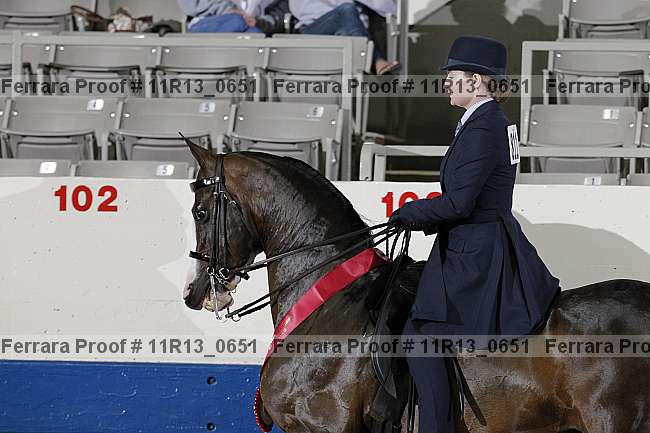 Proof Number 11r13_0651