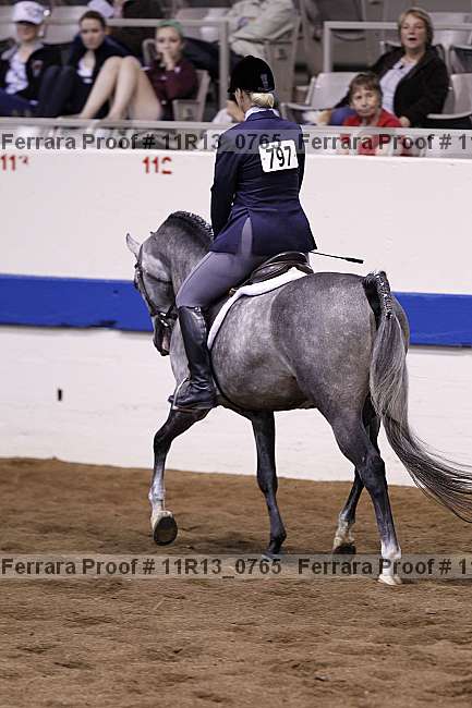 Proof Number 11r13_0765