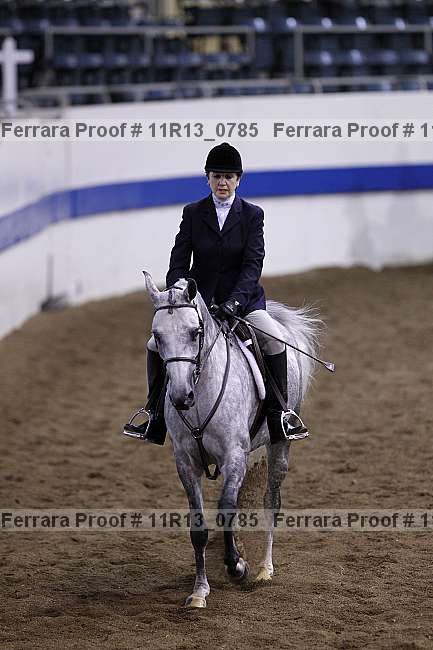 Proof Number 11r13_0785