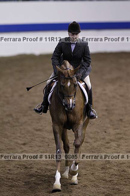 Proof Number 11r13_0805