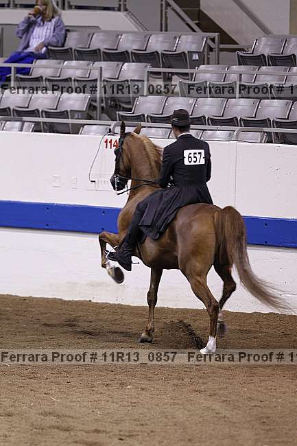 Proof Number 11r13_0857