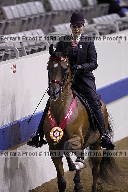 Proof Number 11r13_0890