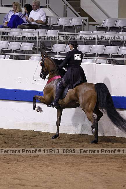 Proof Number 11r13_0895