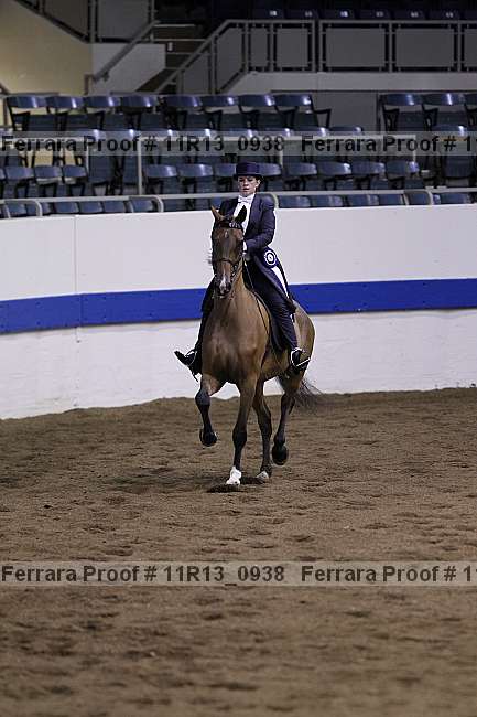 Proof Number 11r13_0938