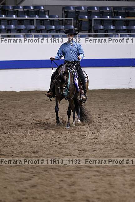 Proof Number 11r13_1132