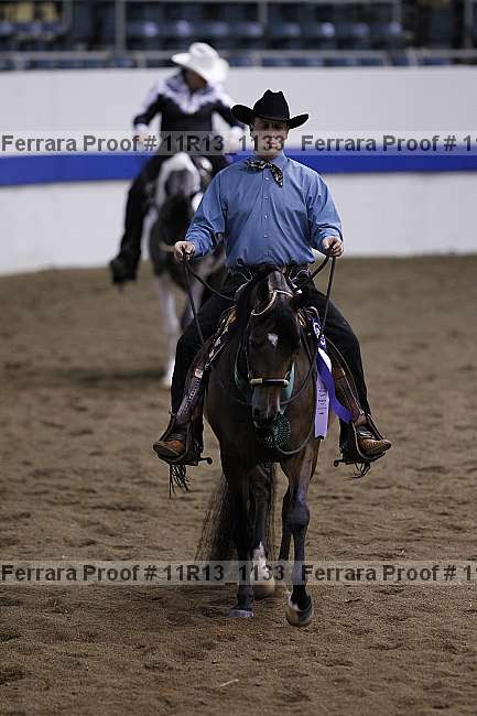 Proof Number 11r13_1133