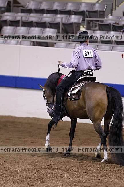 Proof Number 11r13_1147