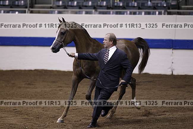 Proof Number 11r13_1325