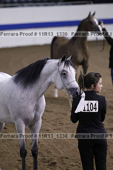 Proof Number 11r13_1330