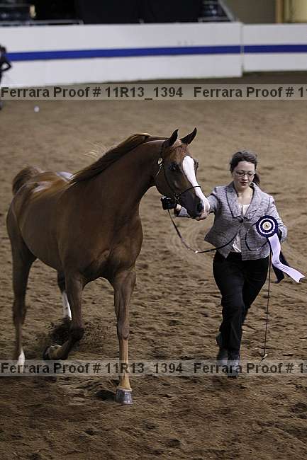 Proof Number 11r13_1394