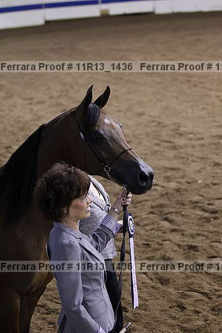 Proof Number 11r13_1436