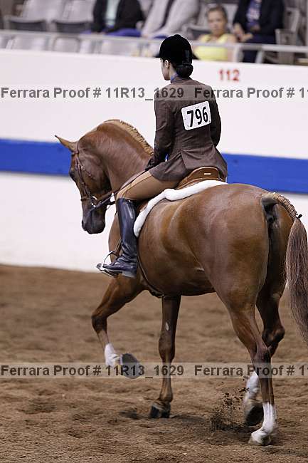 Proof Number 11r13_1629