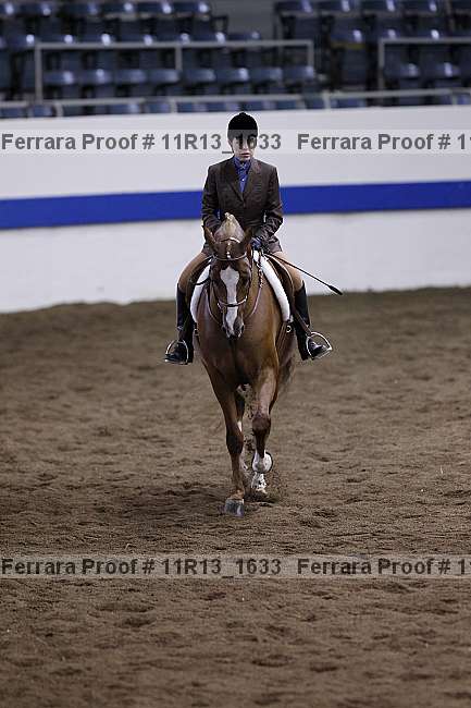 Proof Number 11r13_1633