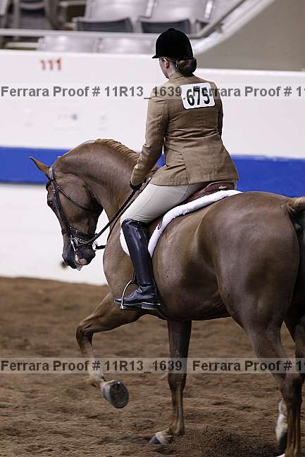 Proof Number 11r13_1639