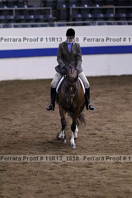 Proof Number 11r13_1658