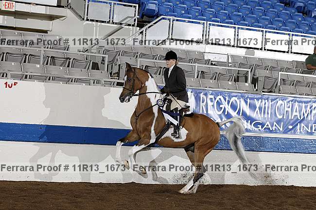 Proof Number 11r13_1673