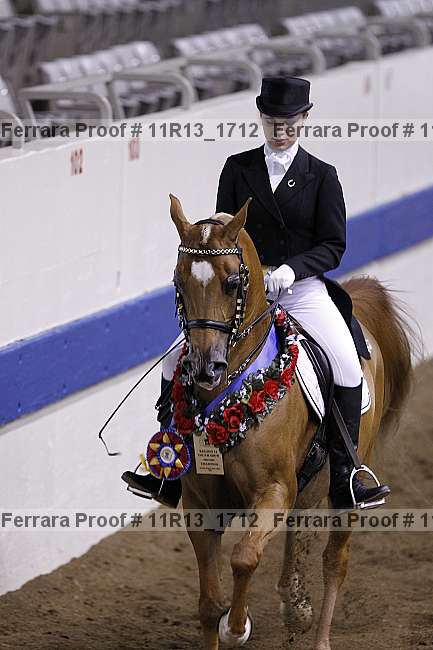 Proof Number 11r13_1712