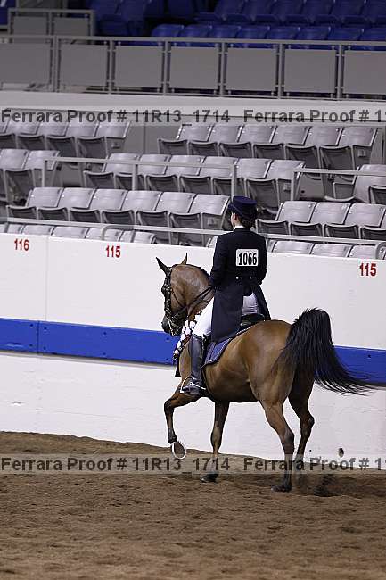 Proof Number 11r13_1714
