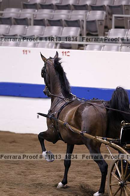 Proof Number 11r13_1834