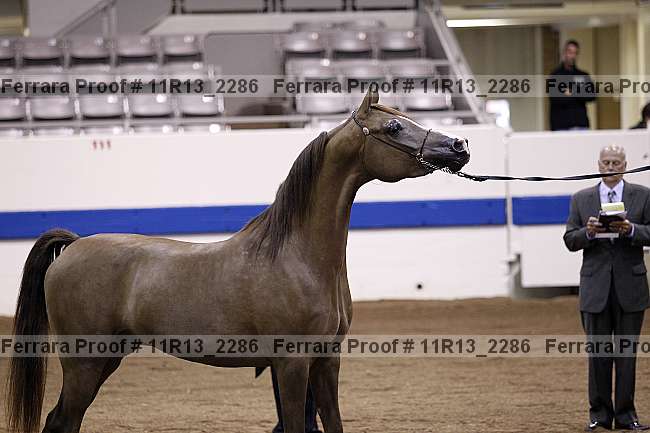 Proof Number 11r13_2286