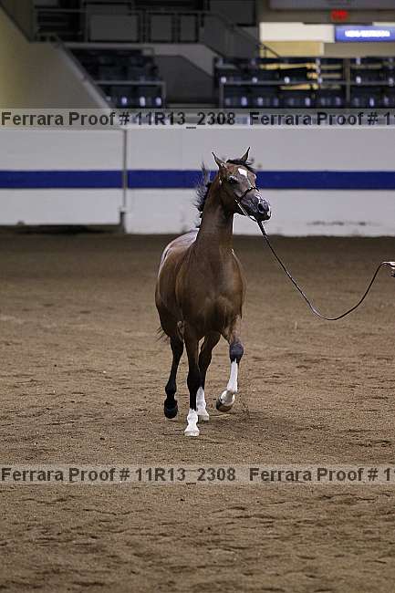 Proof Number 11r13_2308