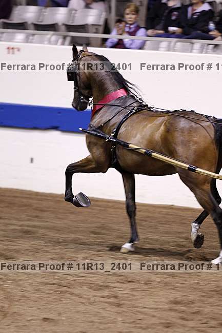 Proof Number 11r13_2401