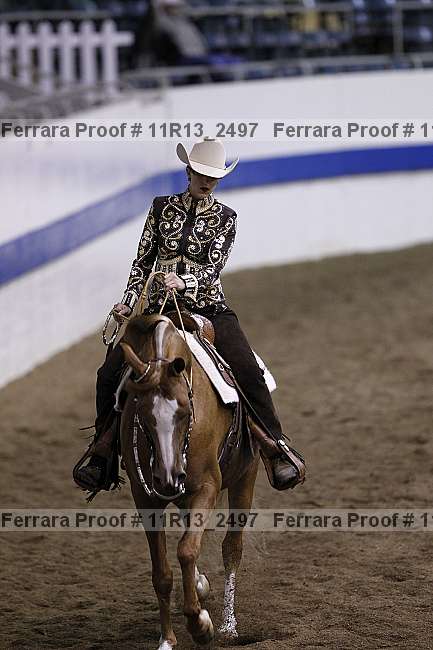 Proof Number 11r13_2497