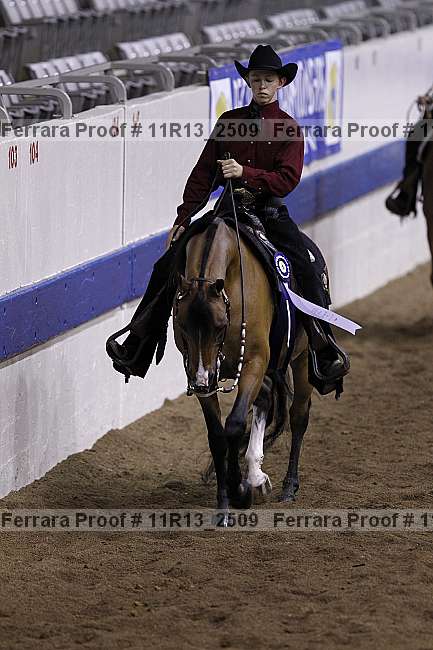 Proof Number 11r13_2509