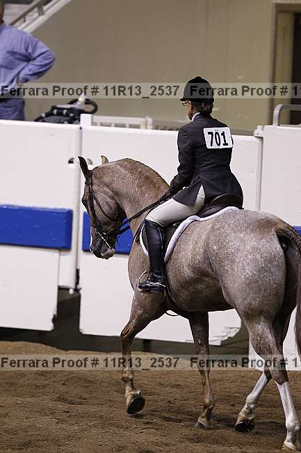 Proof Number 11r13_2537