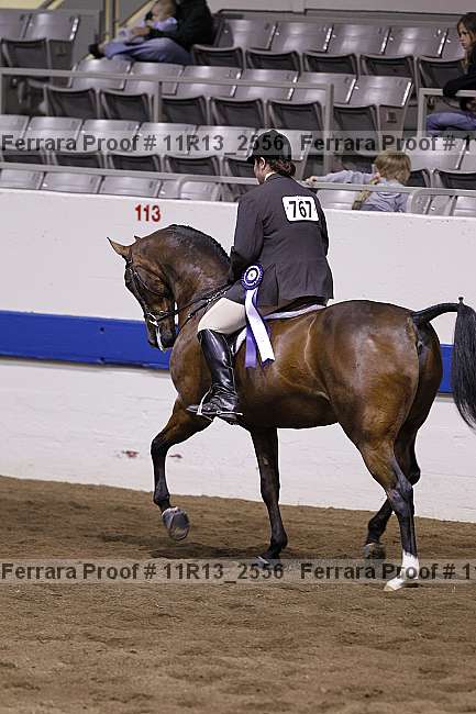 Proof Number 11r13_2556