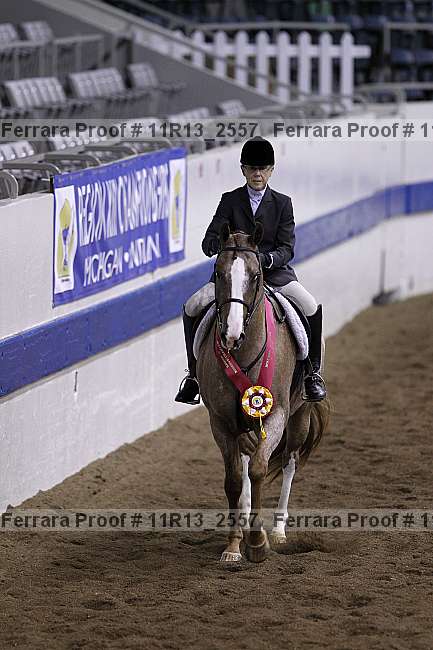 Proof Number 11r13_2557