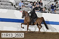 11r13_2592 thumbnail