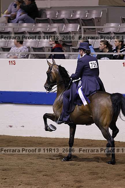 Proof Number 11r13_2606
