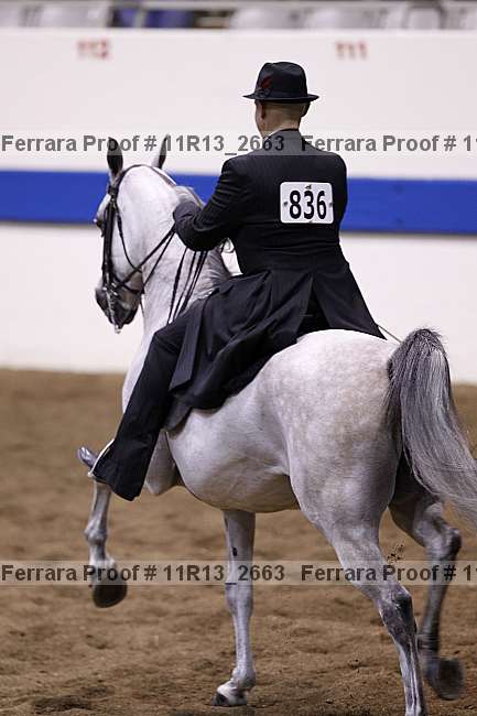 Proof Number 11r13_2663