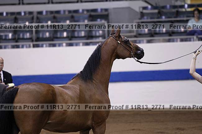 Proof Number 11r13_2771