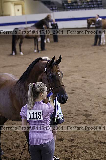 Proof Number 11r13_2801
