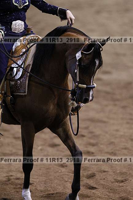 Proof Number 11r13_2918