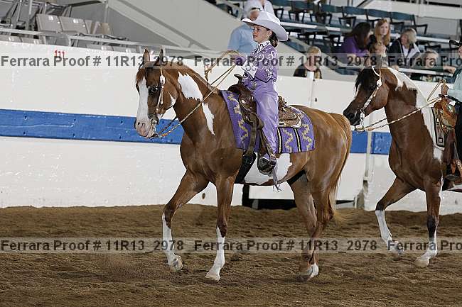 Proof Number 11r13_2978