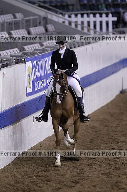 Proof Number 11r13_3109
