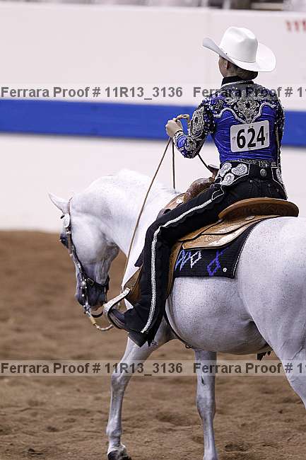 Proof Number 11r13_3136
